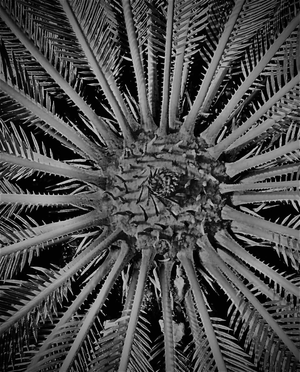 Building structure image