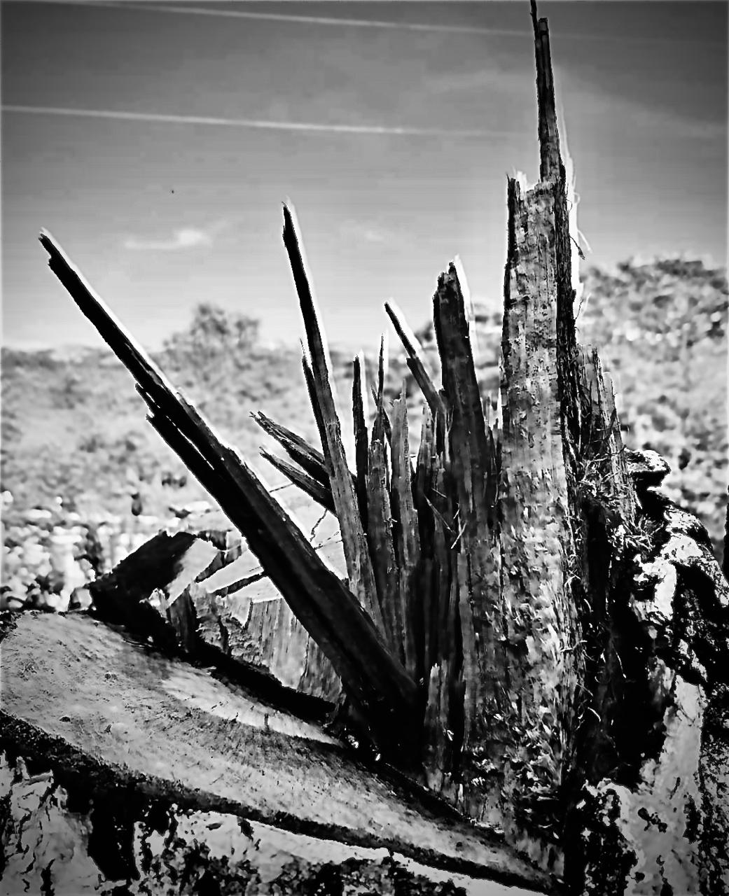 Building structure image